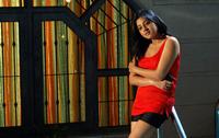 Keerthi Chawla Hot Photos